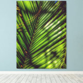 Palm Frontend, Pine Needles und Shadows Canvas Pri Leinwanddruck (Insitu (Holzboden))