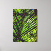 Palm Frontend, Pine Needles und Shadows Canvas Pri Leinwanddruck (Vorderseite)