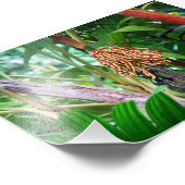 Palm Fruit in Hawaii Fotodruck (Ecke)