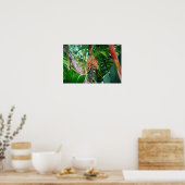 Palm Fruit in Hawaii Poster (Küche)