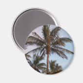 Palm Gets Mooned Magnet (Vorderseite/Rückseite)