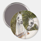 Palm Grove Arabian-Rundmagnet Magnet (Vorderseite/Rückseite)