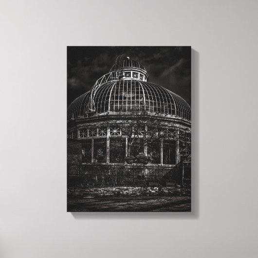 Palm House No 2 Leinwanddruck (Vorderseite)