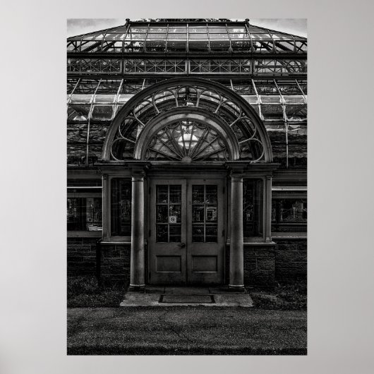 Palm House No 4 Poster (Vorne)