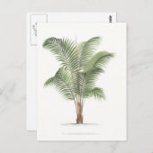 Palm Illustrations-Sammlung I Postkarte (Vorne/Hinten)
