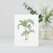 Palm-Illustrationssammlung Postkarte (Stehend Vorderseite)