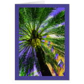 Palm in der Abend-Karte (Vorne)