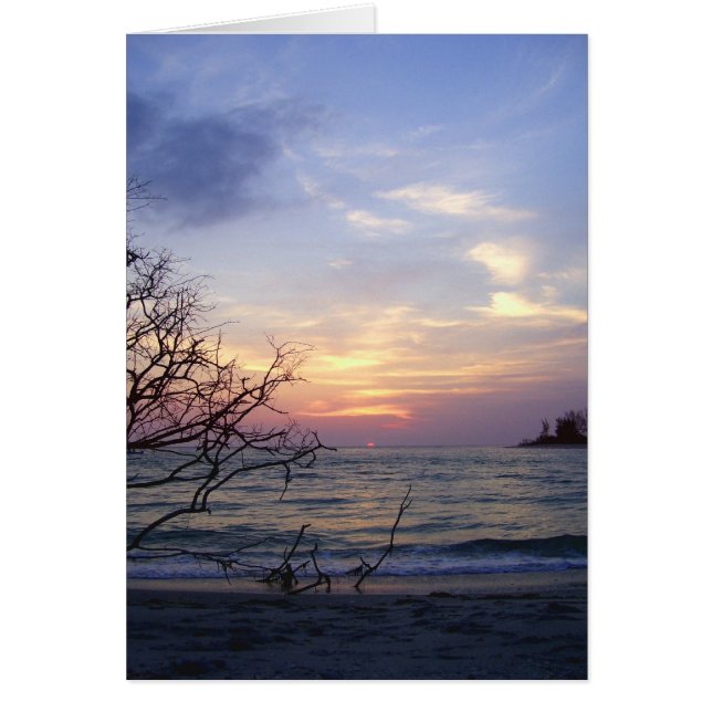 Palm Island Sunset 1 (Vorne)