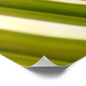Palm Leaf Foto Poster (Ecke)
