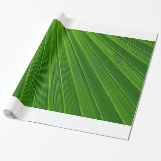 Palm Leaf Geschenkpapier