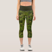 Palm Leaf Green High Waisted Capris (Vorderseite)