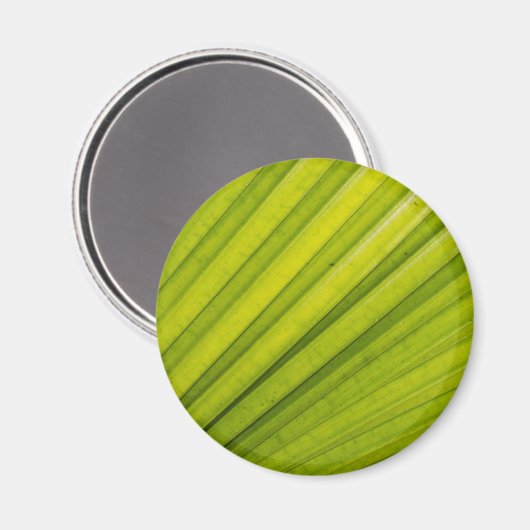 Palm Leaf Magnet (Vorderseite/Rückseite)