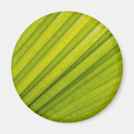 Palm Leaf Magnet