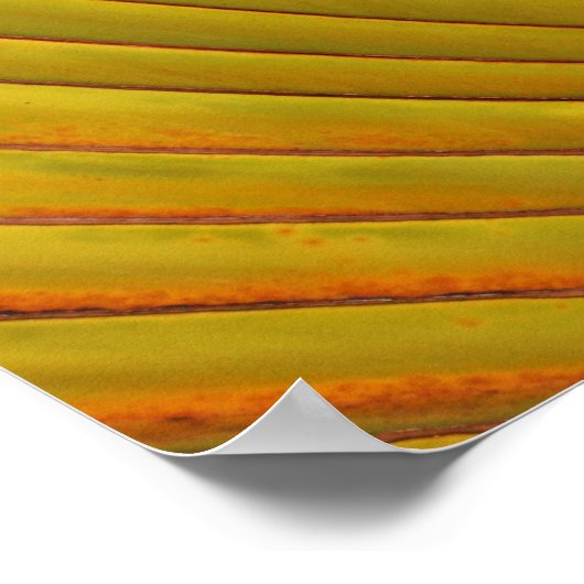 Palm Leaf Poster (Ecke)