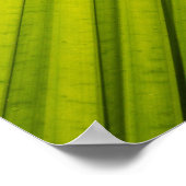 Palm Leaf Poster (Ecke)