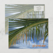 Palm Leaf Postkarte (Vorne/Hinten)