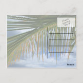 Palm Leaf Postkarte (Rückseite)