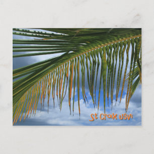Palm Leaf Postkarte