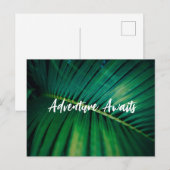 Palm Leaf Postkarte (Vorne/Hinten)