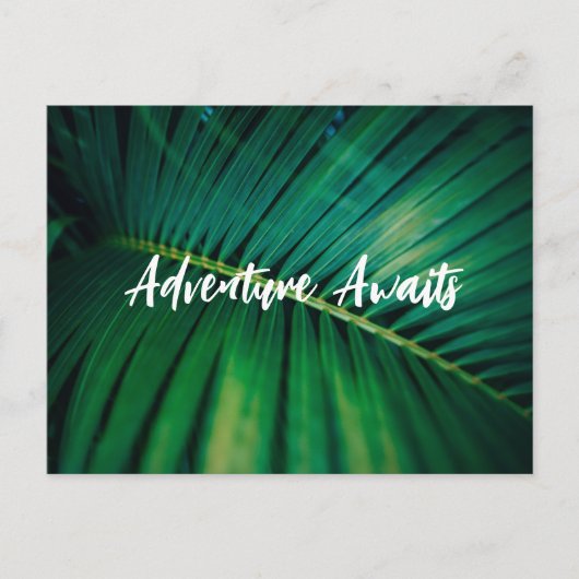 Palm Leaf Postkarte (Vorderseite)
