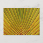 Palm Leaf Postkarte (Vorderseite)