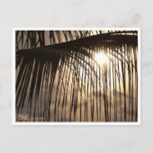 Palm Leaf Sunset Bali Indonesia Postcard Postkarte (Vorderseite)