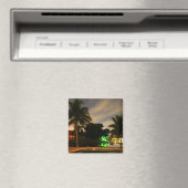 Palm Magnet (In Situ (Geschirrspüler))