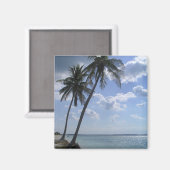 Palm Magnet 2 (Vorderseite/Rückseite)