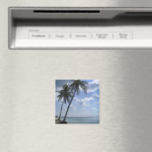 Palm Magnet 2 (In Situ (Geschirrspüler))