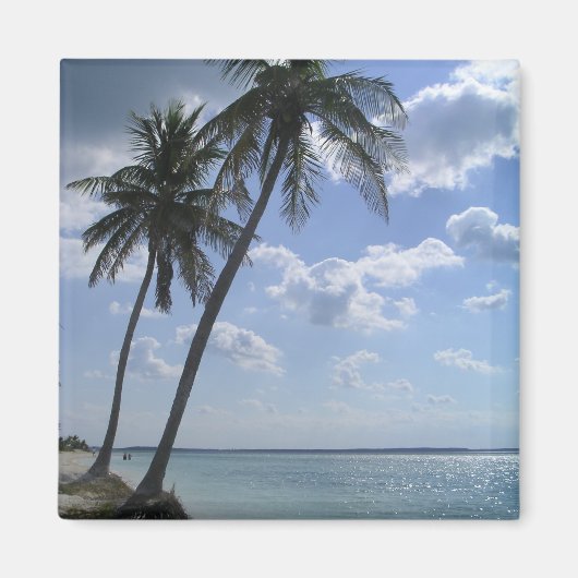 Palm Magnet 2 (Vorne)