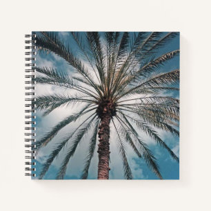 Palm - notizblock