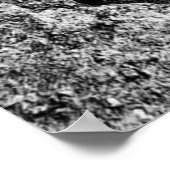 "Palm on Rock" JTG Art Poster (Ecke)