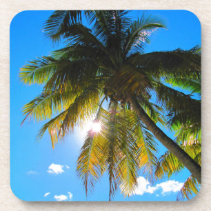 Palm Paradise Blue Sky Sunshine Getränkeuntersetzer