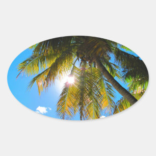 Palm Paradise Blue Sky Sunshine Ovaler Aufkleber