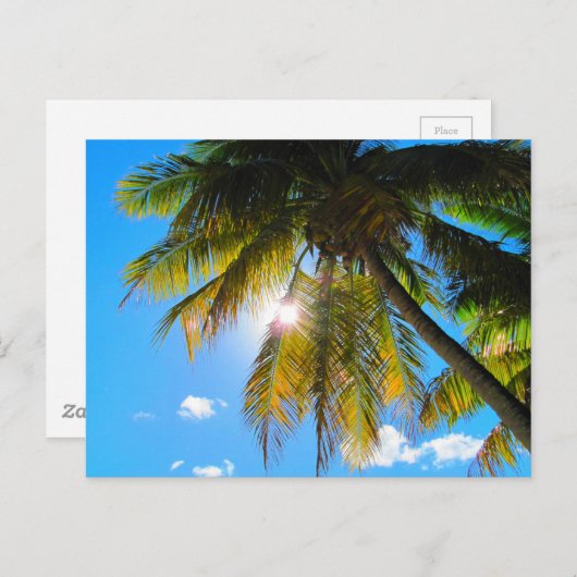 Palm Paradise Blue Sky Sunshine Postkarte (Vorne/Hinten)