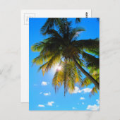 Palm Paradise Blue Sky Sunshine Postkarte (Vorne/Hinten)