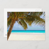 Palm Paradise Blue Sky Sunshine Postkarte (Vorne/Hinten)