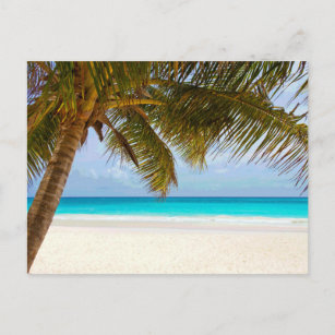 Palm Paradise Blue Sky Sunshine Postkarte
