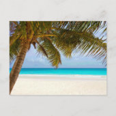Palm Paradise Blue Sky Sunshine Postkarte (Vorderseite)
