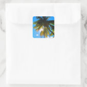 Palm Paradise Blue Sky Sunshine Quadratischer Aufkleber (Tasche)