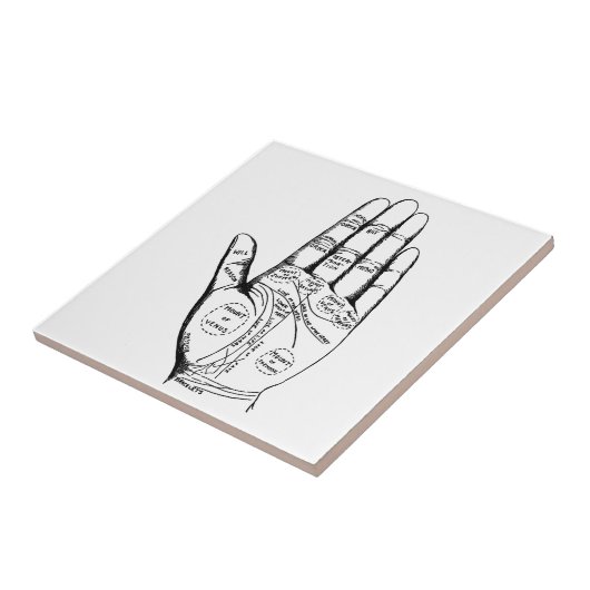 Palm Reading Chart Palmistry Theller Zukunft Fliese (Seite)