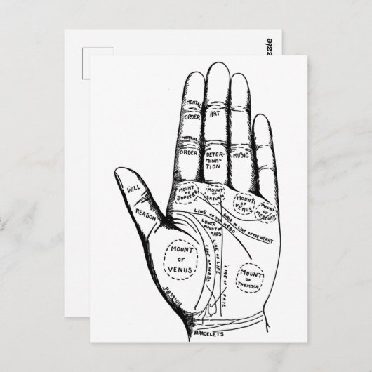 Palm Reading Chart Palmistry Wahrsager Zukunft Postkarte (Vorne/Hinten)