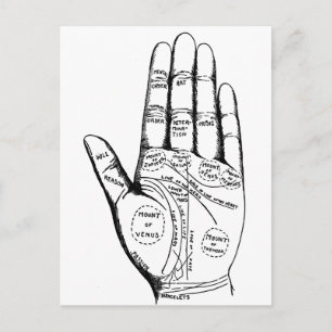 Palm Reading Chart Palmistry Wahrsager Zukunft Postkarte
