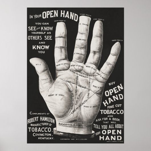Palm Reading Poster (Vorne)