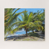 Palm-Shaded Path Along Amatique Bay Puzzle (Horizontal)
