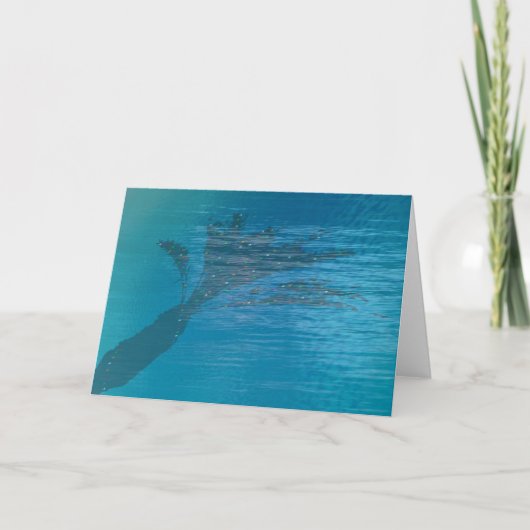Palm Shadow im Pool Feiertagskarte (Vorderseite)