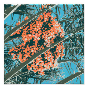 Palm Springs 6 Farbpalm Berries 6A Fotodruck