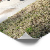 Palm Springs California - Vintage Sicht Poster (Ecke)