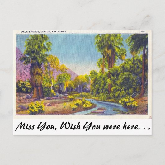 Palm Springs Canyon, Kalifornien Postkarte (Vorderseite)