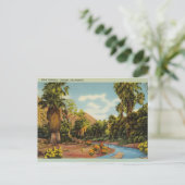 Palm Springs Canyon, Kalifornien Postkarte (Stehend Vorderseite)